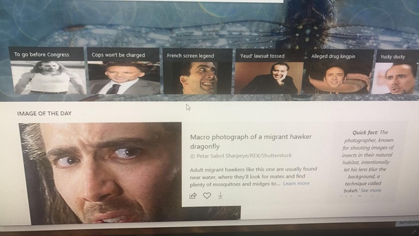 Downloaded a plug on my bosses computer that replaces all website photos with pictures of Nic Cage