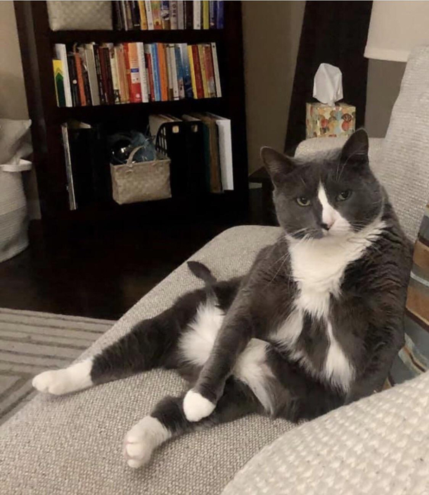 Draw me like a French girl