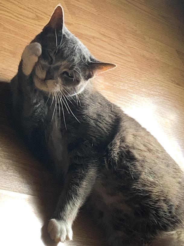Draw me like one of your French girls