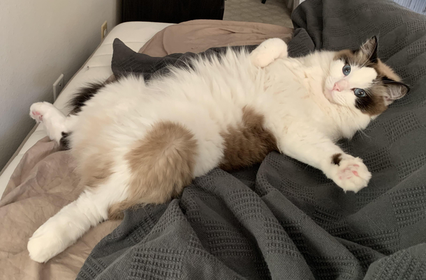 Draw Me Like One of Your French Girls