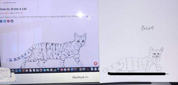 Drawing a cat