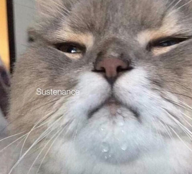 Drinking the whole water bottle in one sip at AM - colorized