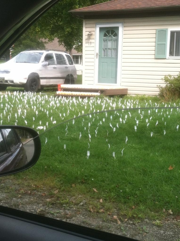Drove past this today Best prank ever