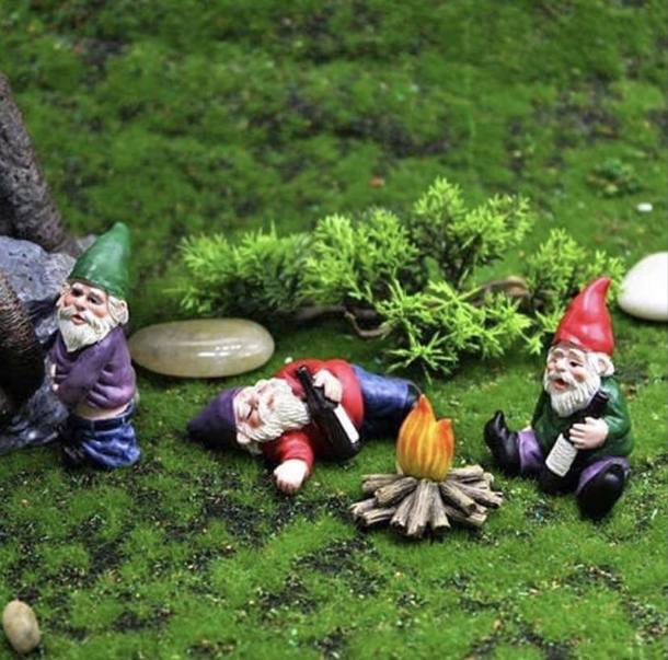Drunk Gnomes