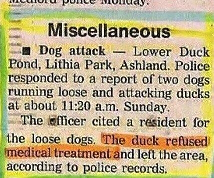 Duck dont care Duck dont give a shit