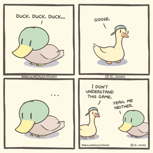 duck duck duck goose hjnk quack  