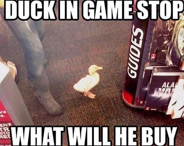 Duck in game stop