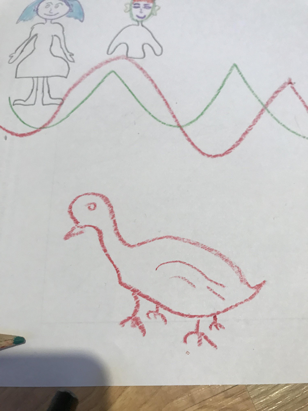 Duck My wife y