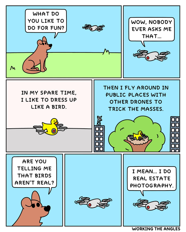 Duck Tales