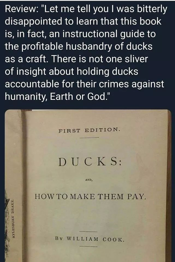 Ducks How To Make Them Pay