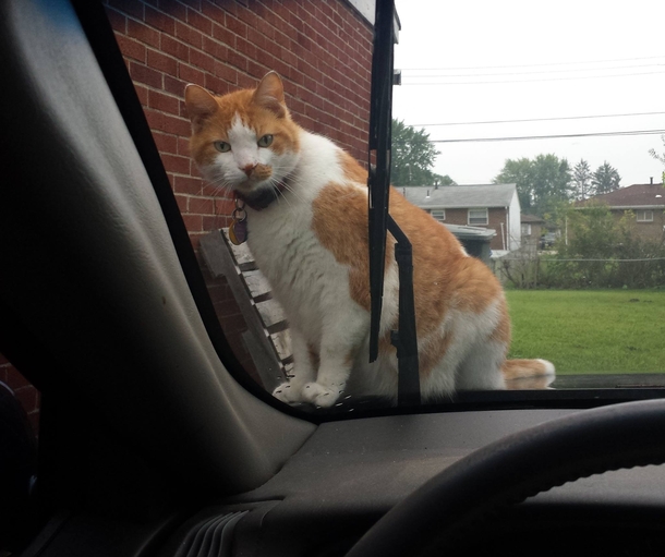 Dude get off the car I gotta go to work Fuck you this is my car now