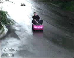 Dude hold my beer