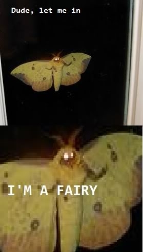 Dude just let me in