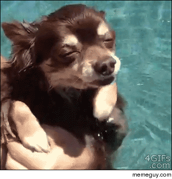 Dude look Im swim