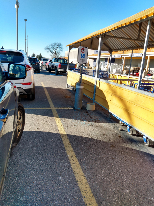 Dude Wheres My Parking