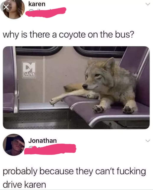 Duh Karen