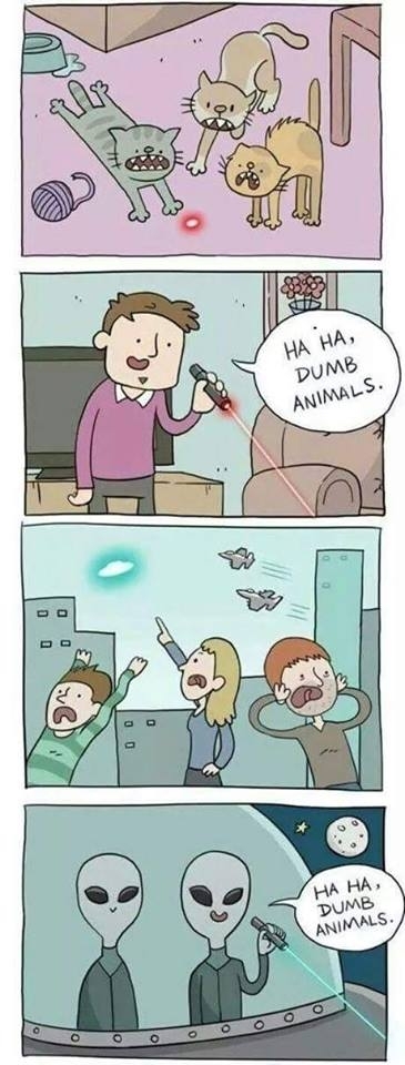 Dumb Animals