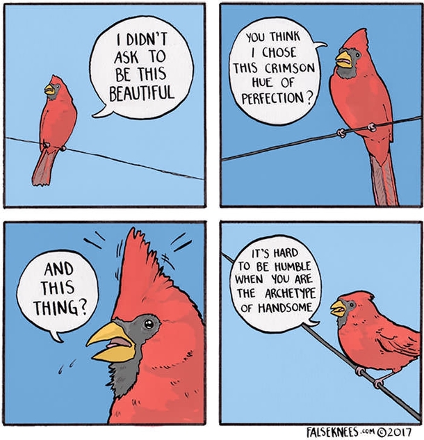 Dump attempt