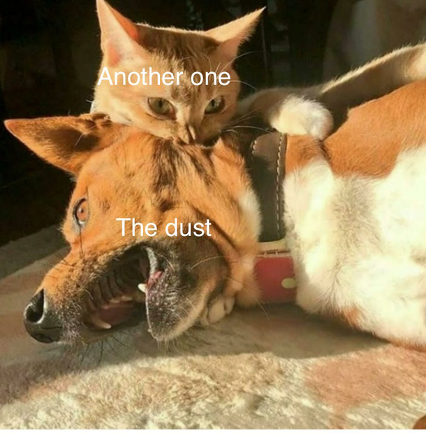 Dun dun dun