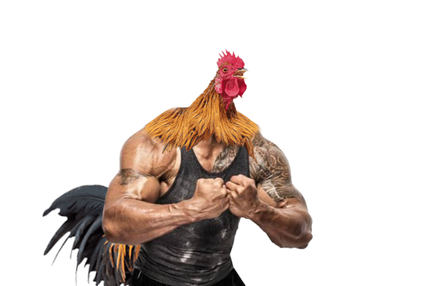 Dwayne The Cock Johnson