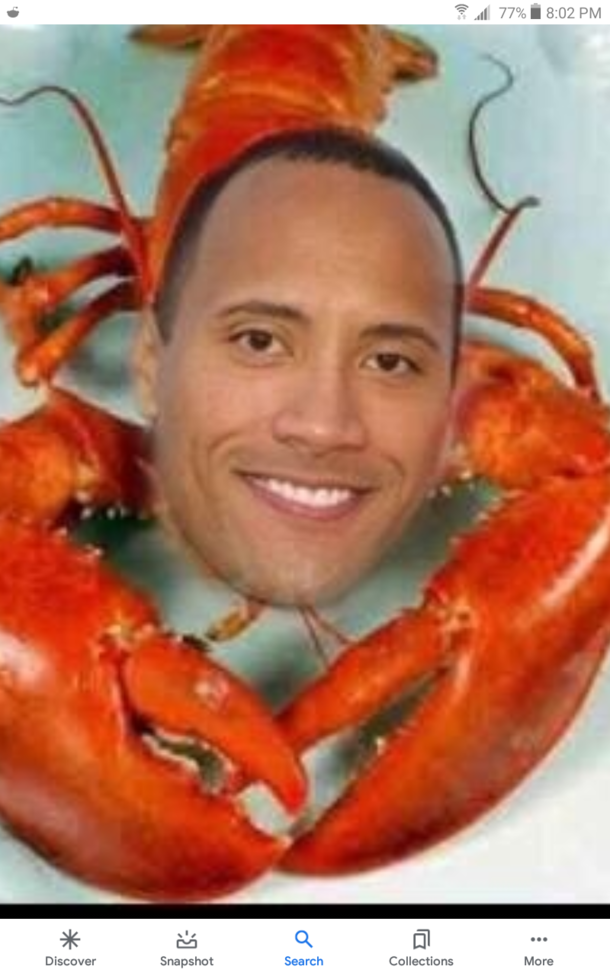 Dwayne the rock lobster
