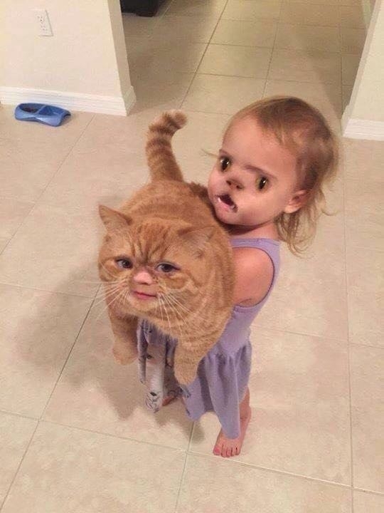 Easily the best face swap Ive seen