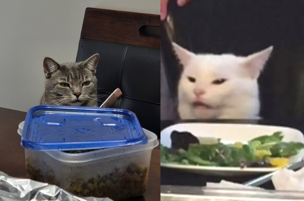 Eating dinner when my cat looked very familiar all of a sudden