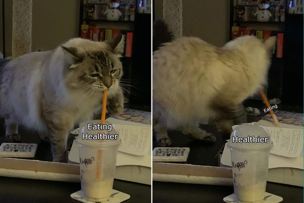 Eating Healthier