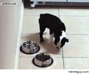 Eating shouldnt be so difficult