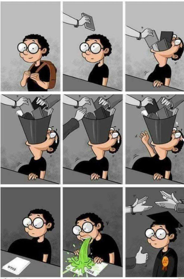 Education in a nutshell