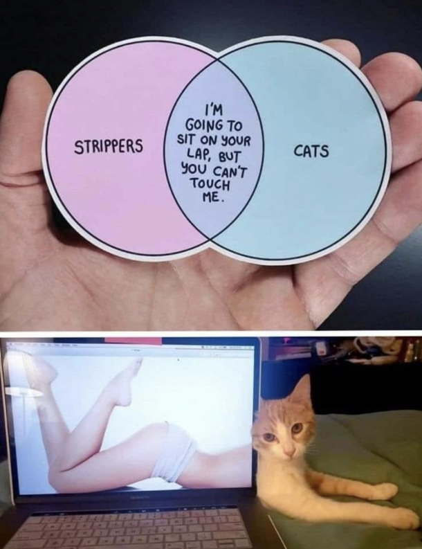Either wayits pussy