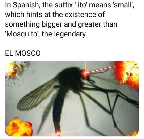 EL MOSCO