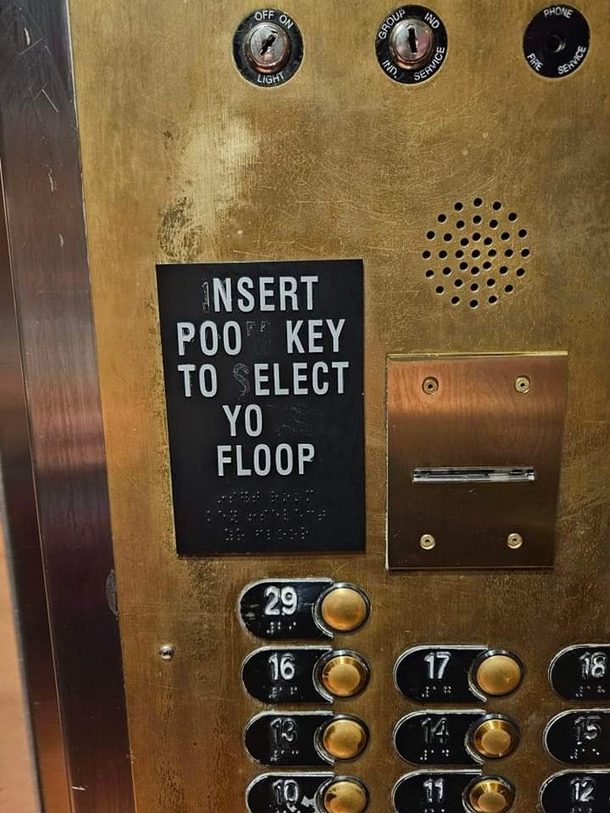 Elect yo floop