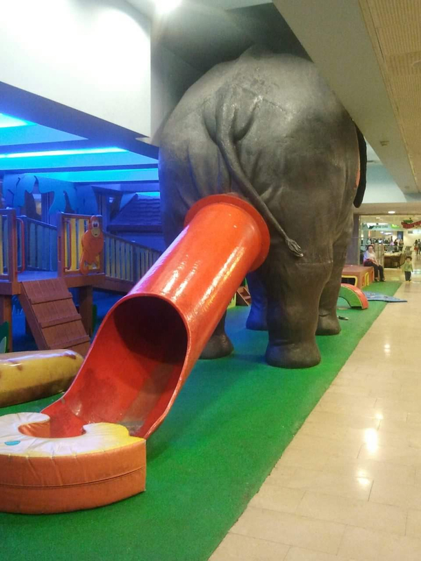 Elephant Colonoscopy Playground