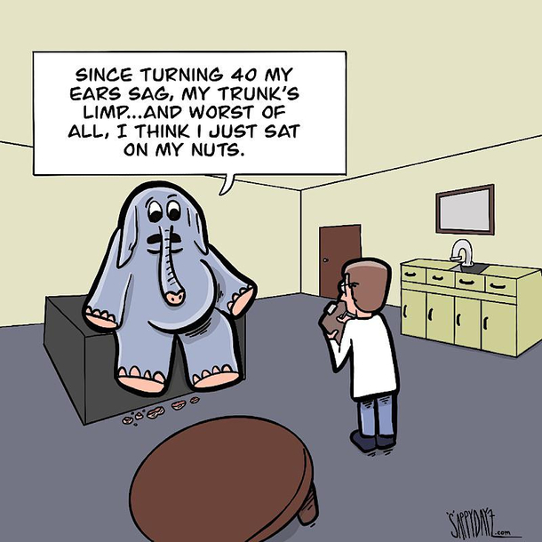 Elephant Disfunction