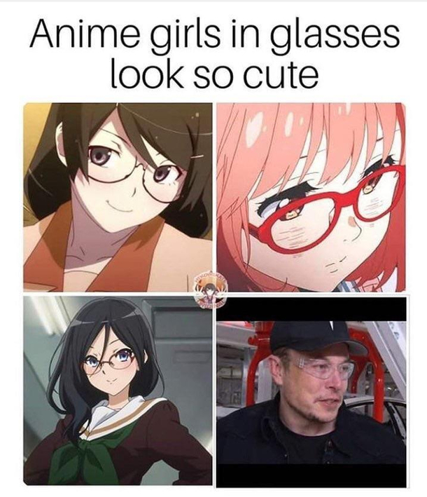 Elon-chan