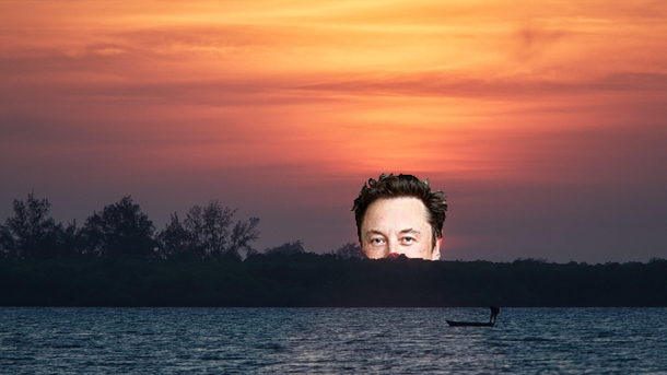 Elon Dusk
