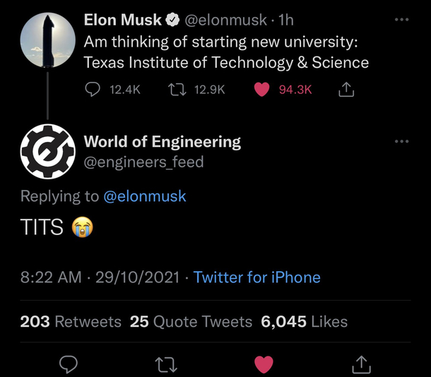 Elon musk and his new University