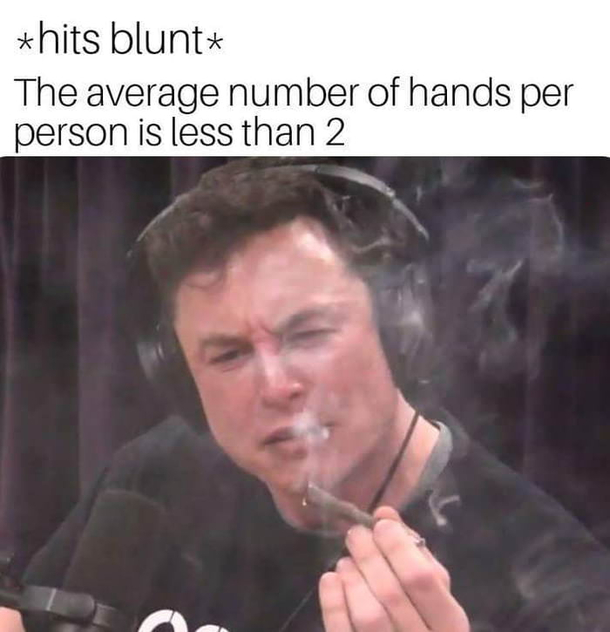 elongated muskrat