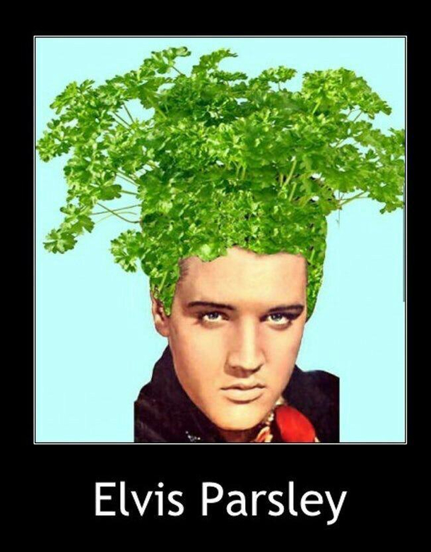 Elvis Parsley