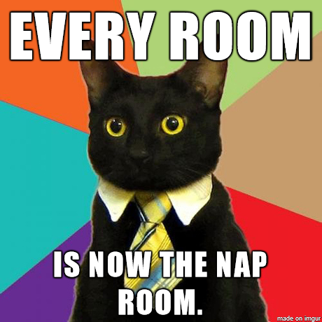 Employee benefits are awesome with Business Cat