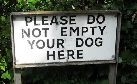 Empty your dogs
