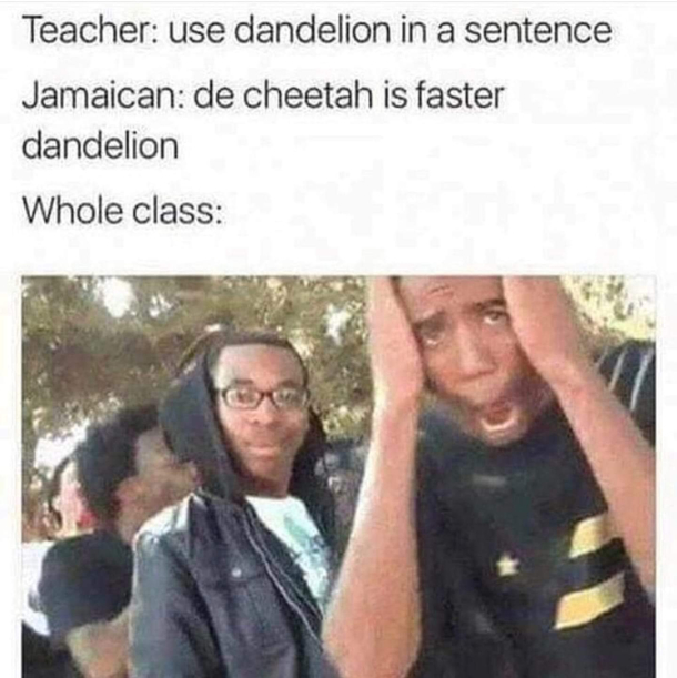 English Lit