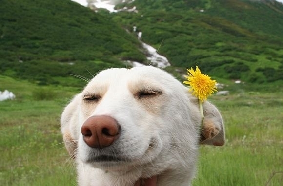Enjoying the moment