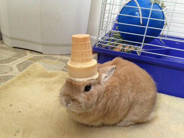 Enjoying your ice cream a little too much