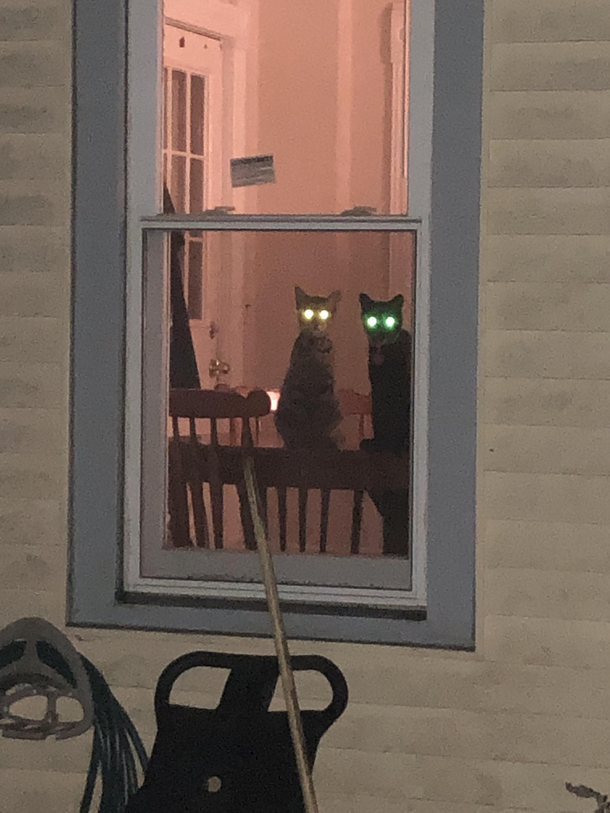 Enterif you dare