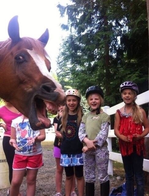 Epic photobomb