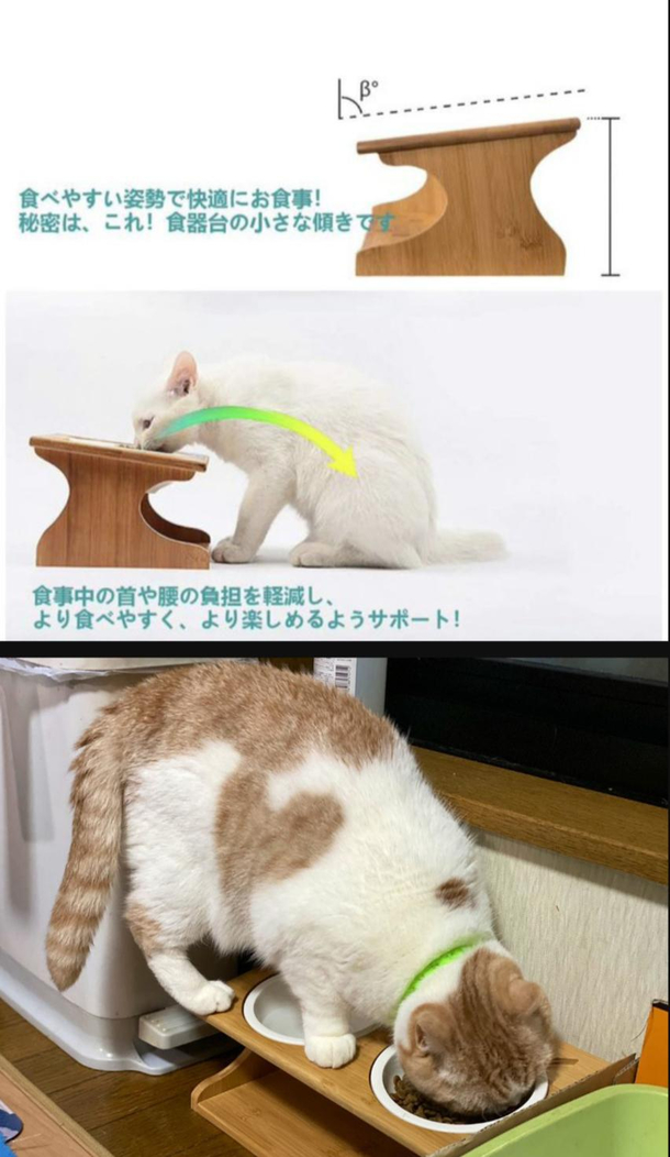 Ergonomic dining table for the cat