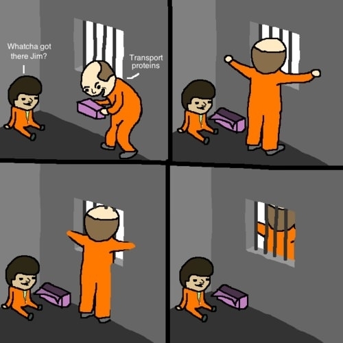 Escaping a cell