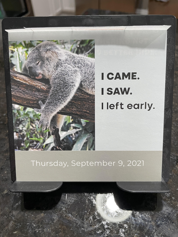 Especially Today